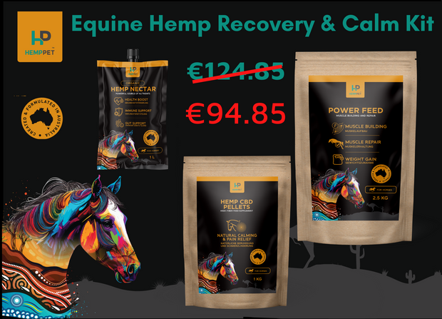 Equine Hemp Recovery & Calm Kit